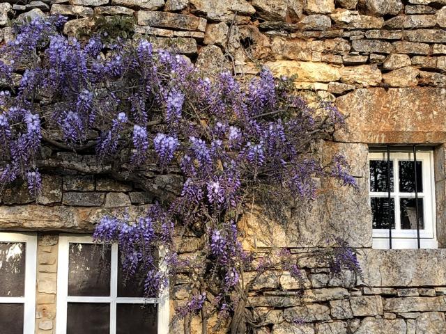 Extérieur maison de vacances