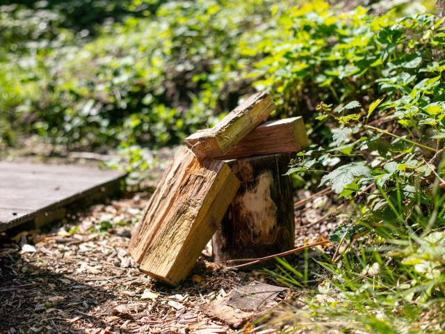 Ambiente / Nahaufnahme