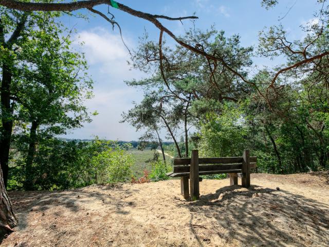 Umgebung [Sommer] (1-5 km)