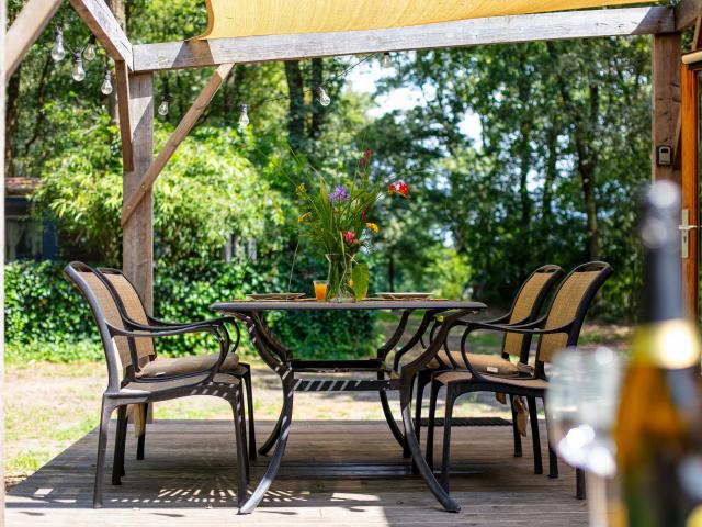 Ambiente / Nahaufnahme