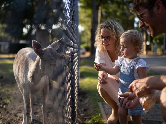 Equipement et services parc de vacances