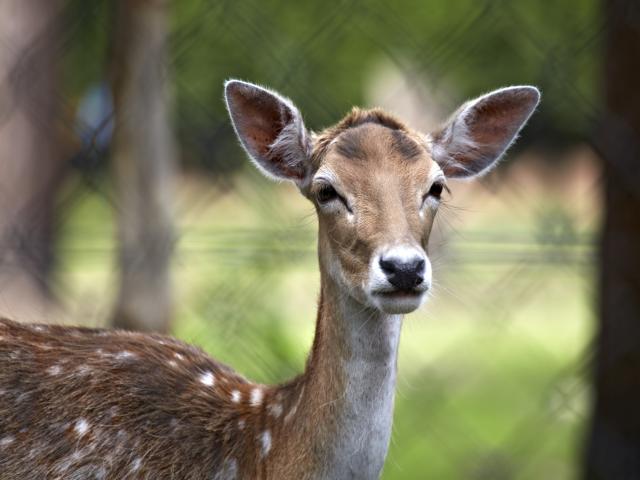 Equipement et services parc de vacances
