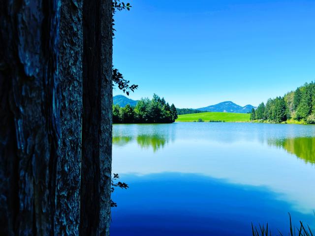 Surroundings (1-5 km)