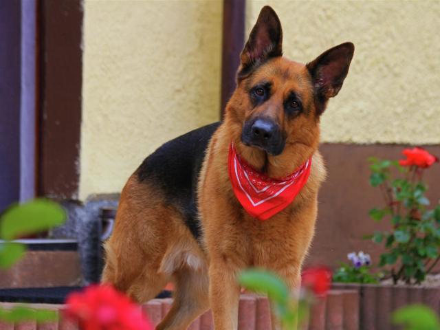 Equipement et services maison de vacances