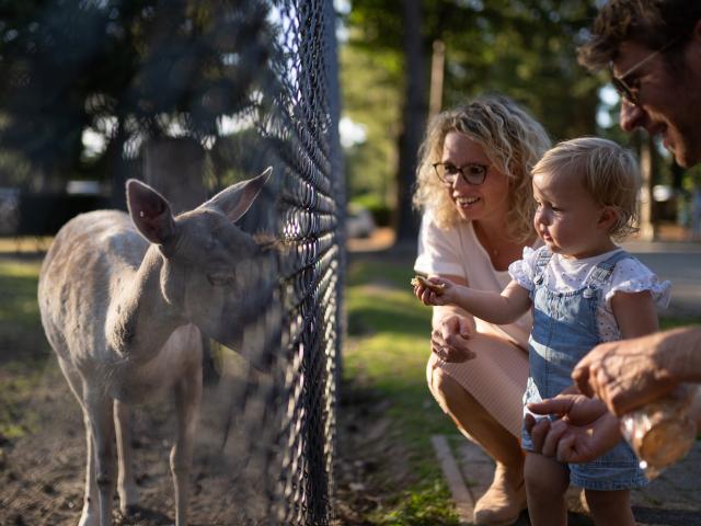Ausstattung und Service des Ferienparks
