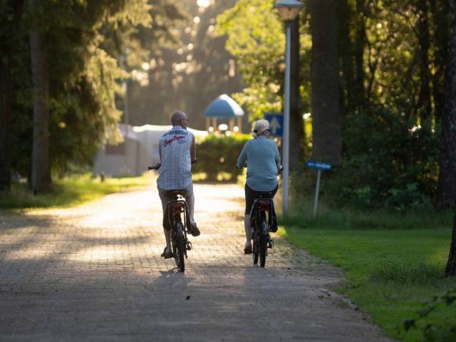 Direkte Umgebung [Sommer] (<1 km)