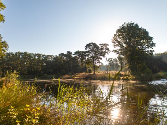 Direkte Umgebung [Sommer] (<1 km)