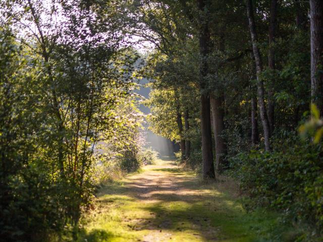 Immediate Surroundings (<1 km)