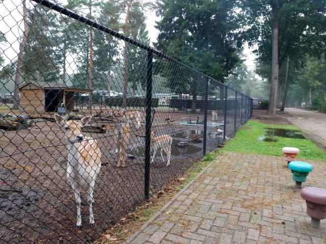 Holiday Park Facilities and Services