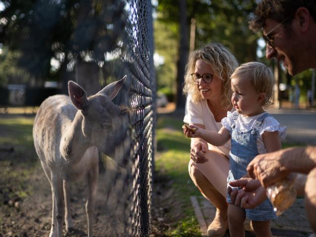 Holiday Park Facilities and Services