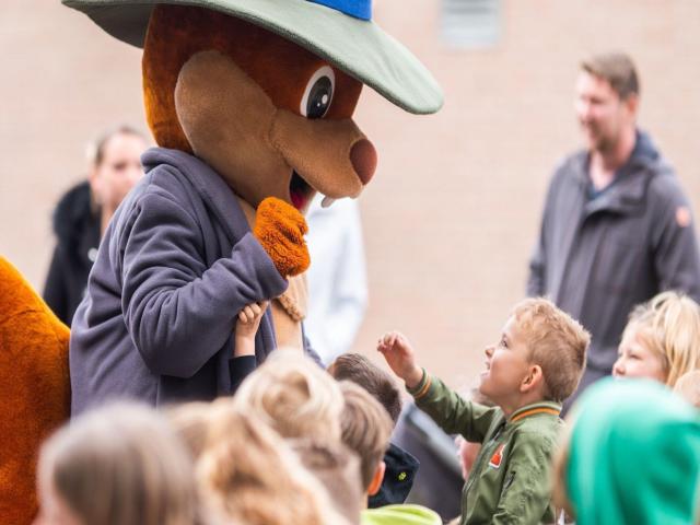 Ausstattung und Service des Ferienparks