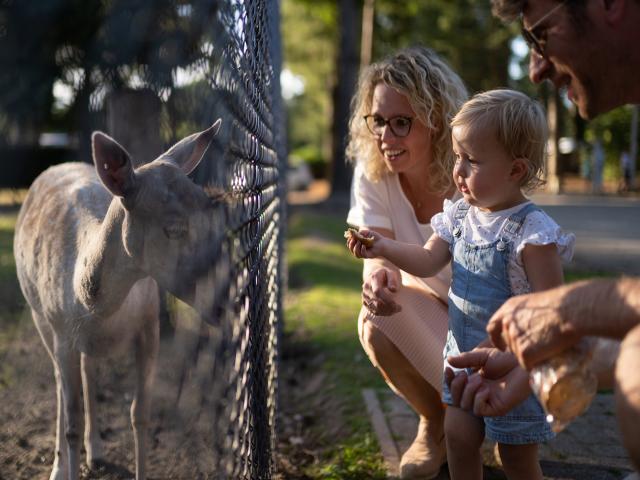 Ausstattung und Service des Ferienparks