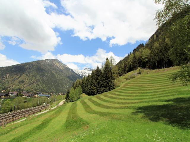 Direkte Umgebung [Sommer] (<1 km)