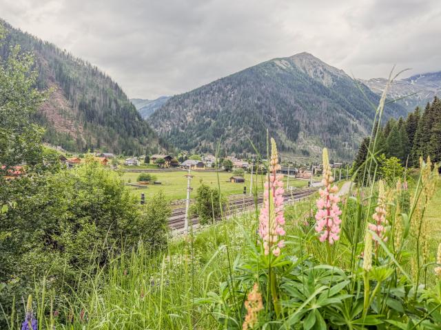 Direkte Umgebung (<1 km)