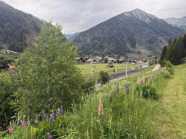 Direkte Umgebung (<1 km)