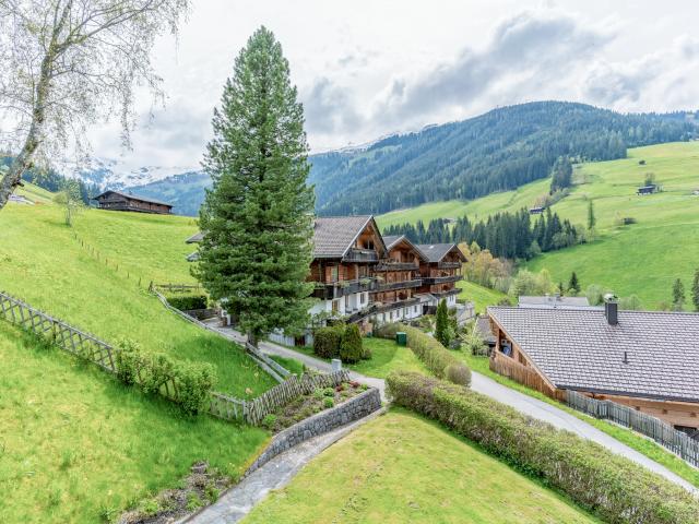 View from Holiday Home