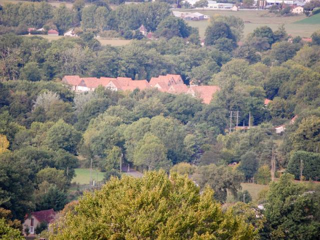 Ambiente / Nahaufnahme