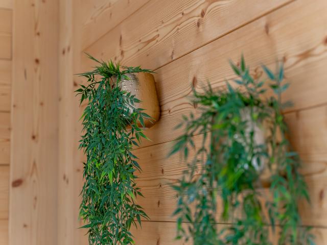 Ambiente / Nahaufnahme