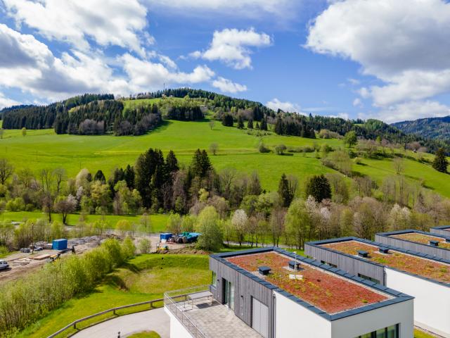 Außenseite Ferienhaus [Sommer]