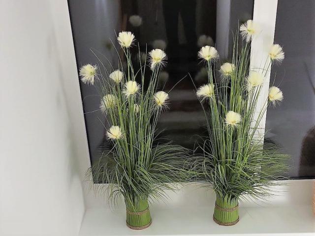 Ambiente / Nahaufnahme