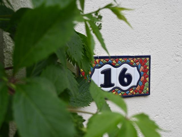 Ambiance / plan rapproché