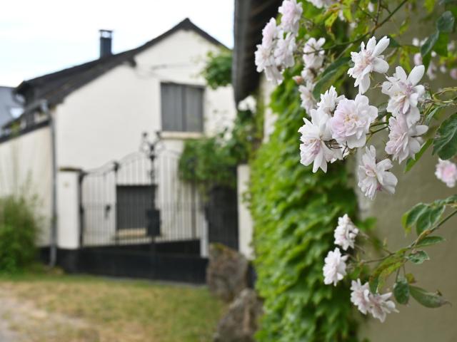 Ambiance / plan rapproché
