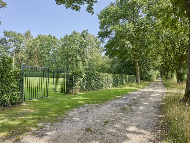 Direkte Umgebung [Sommer] (<1 km)