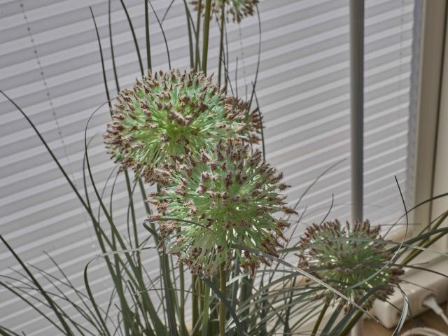 Ambiance / plan rapproché