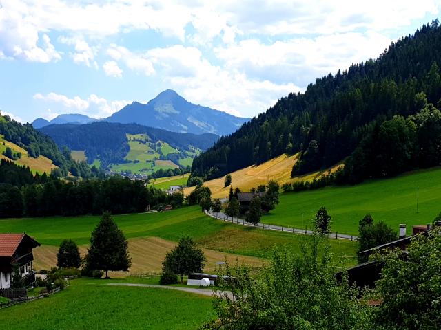 Aussicht vom Ferienhaus