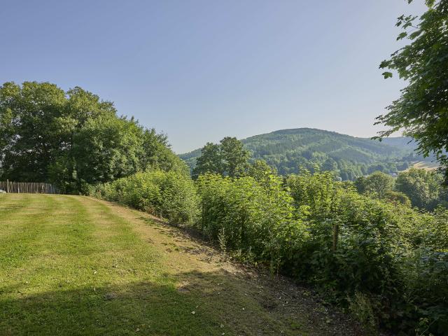Aussicht vom Ferienhaus [Sommer]