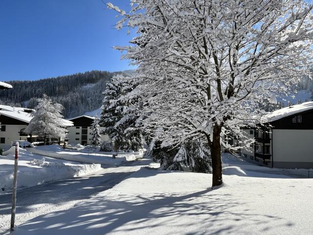 Direkte Umgebung (<1 km)