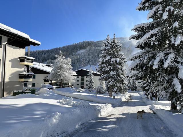 Direkte Umgebung (<1 km)