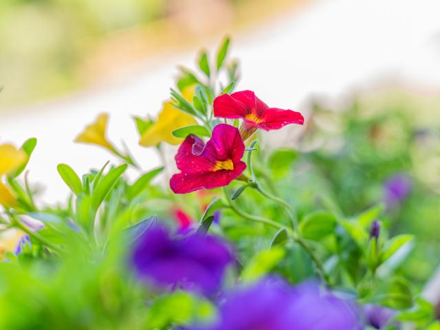 Ambiance / plan rapproché