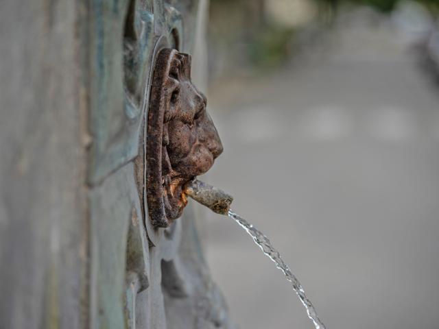 Ambiente / Nahaufnahme