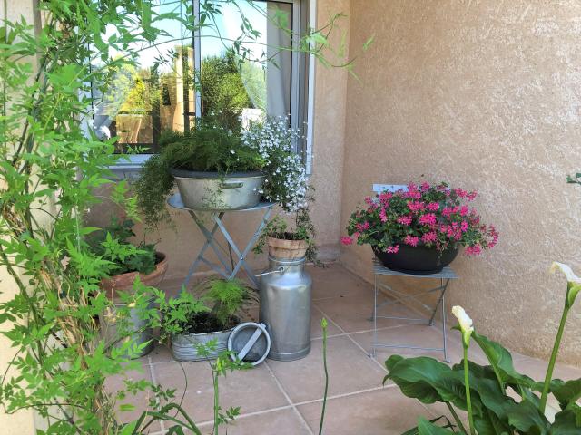 Ambiente / Nahaufnahme