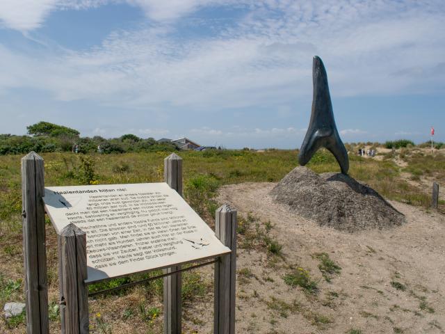 Direkte Umgebung [Sommer] (<1 km)
