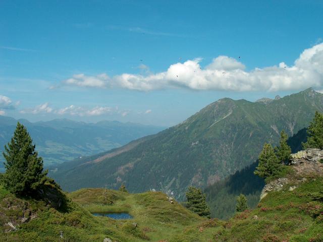 In de regio [zomer] (>5 km)