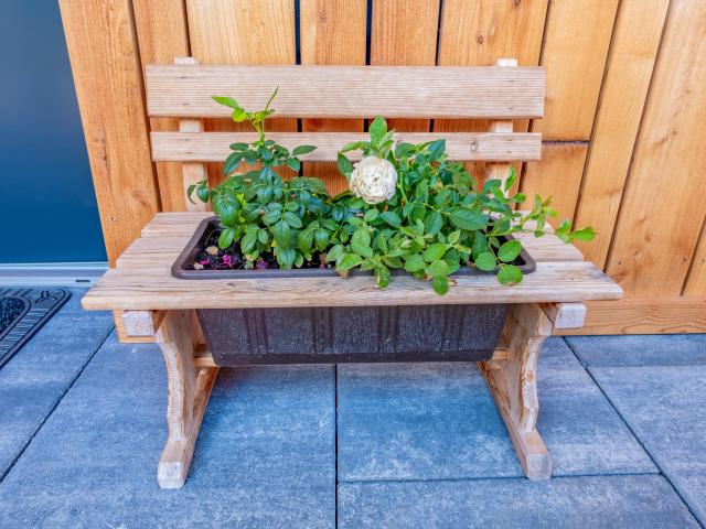 Ambiente / Nahaufnahme