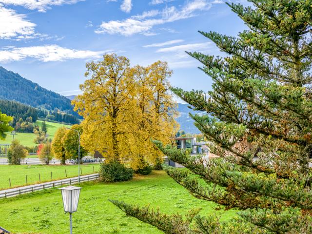 Dans les environs (1-5 km)