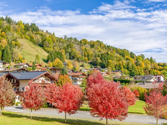 Direkte Umgebung [Sommer] (<1 km)