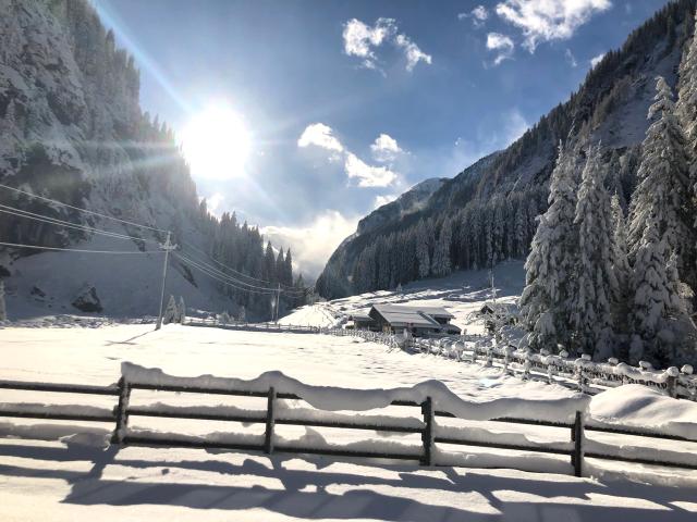 Immediate Surroundings (<1 km)