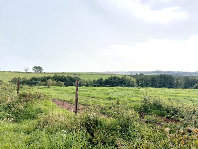 Direkte Umgebung [Sommer] (<1 km)