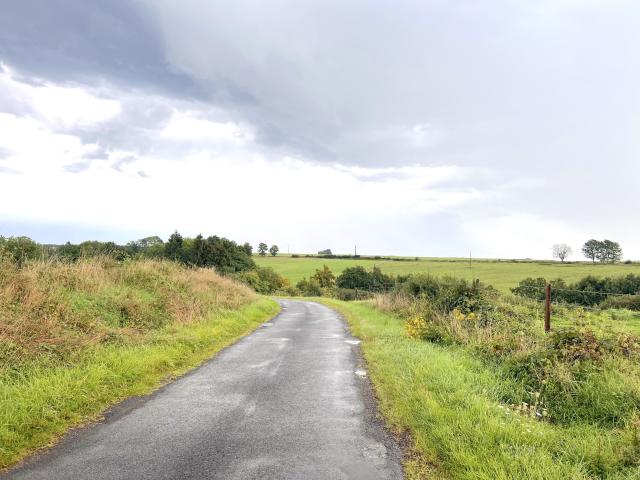 Direkte Umgebung [Sommer] (<1 km)