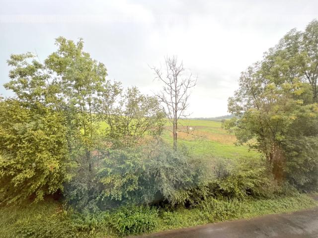 Aussicht vom Ferienhaus [Sommer]