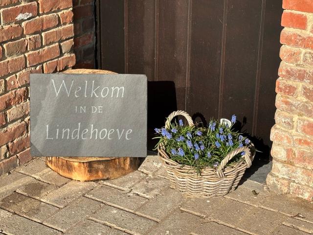 Ambiente / Nahaufnahme