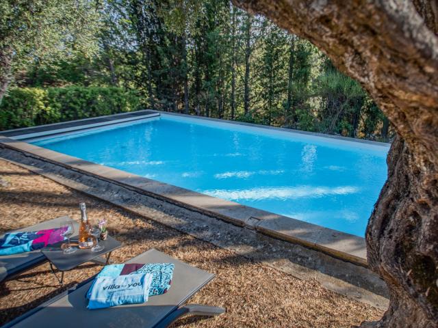 Pool des Ferienhauses