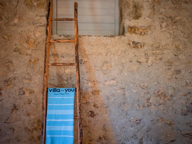 Ambiente / Nahaufnahme