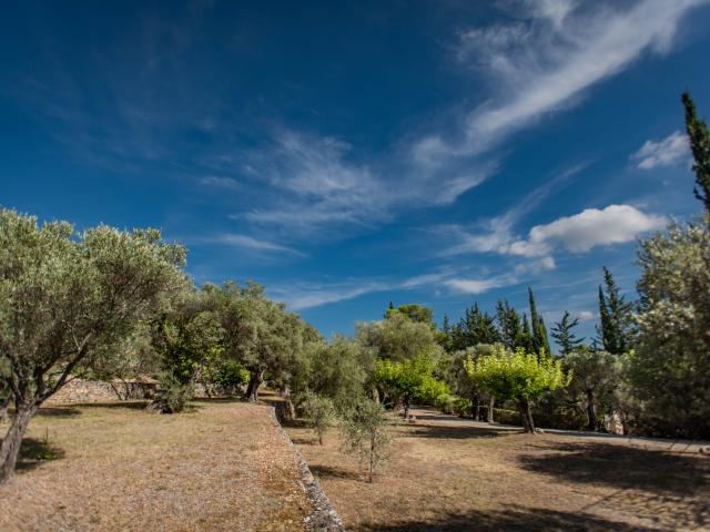 Direkte Umgebung [Sommer] (<1 km)