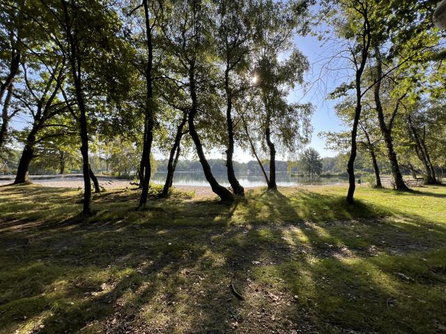 Directe omgeving (<1 km)