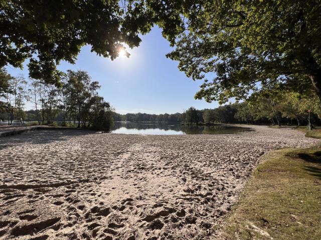 Directe omgeving (<1 km)